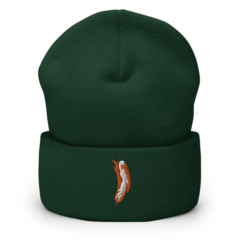 cuffed-beanie-spruce-5fd3a45022c06-1.png